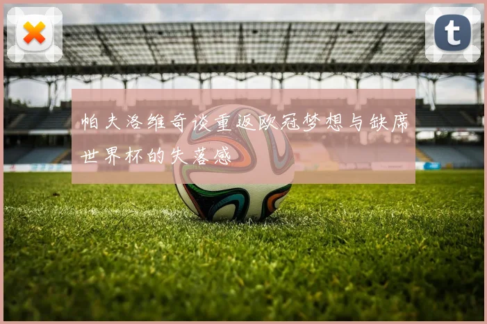 帕夫洛维奇谈重返欧冠梦想与缺席世界杯的失落感